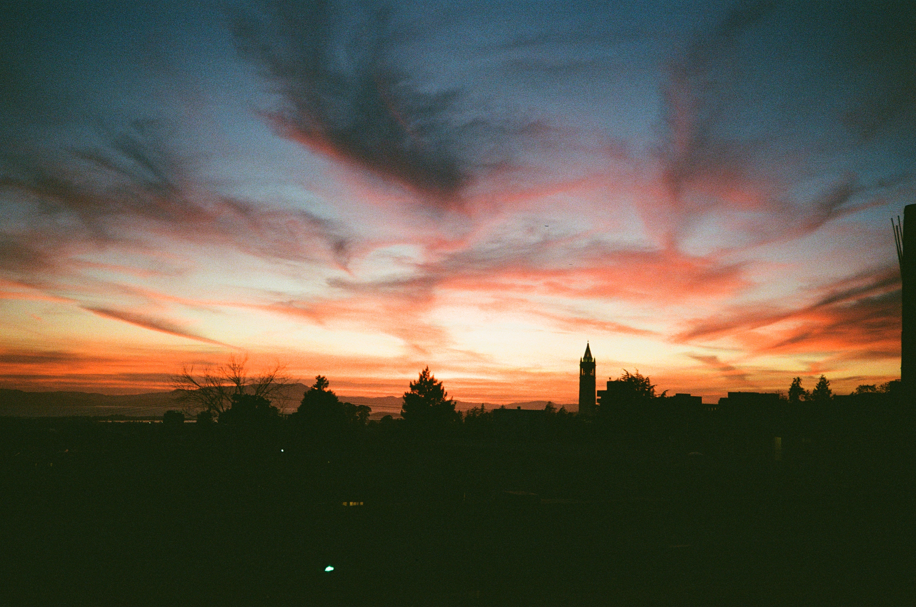 Film photograph