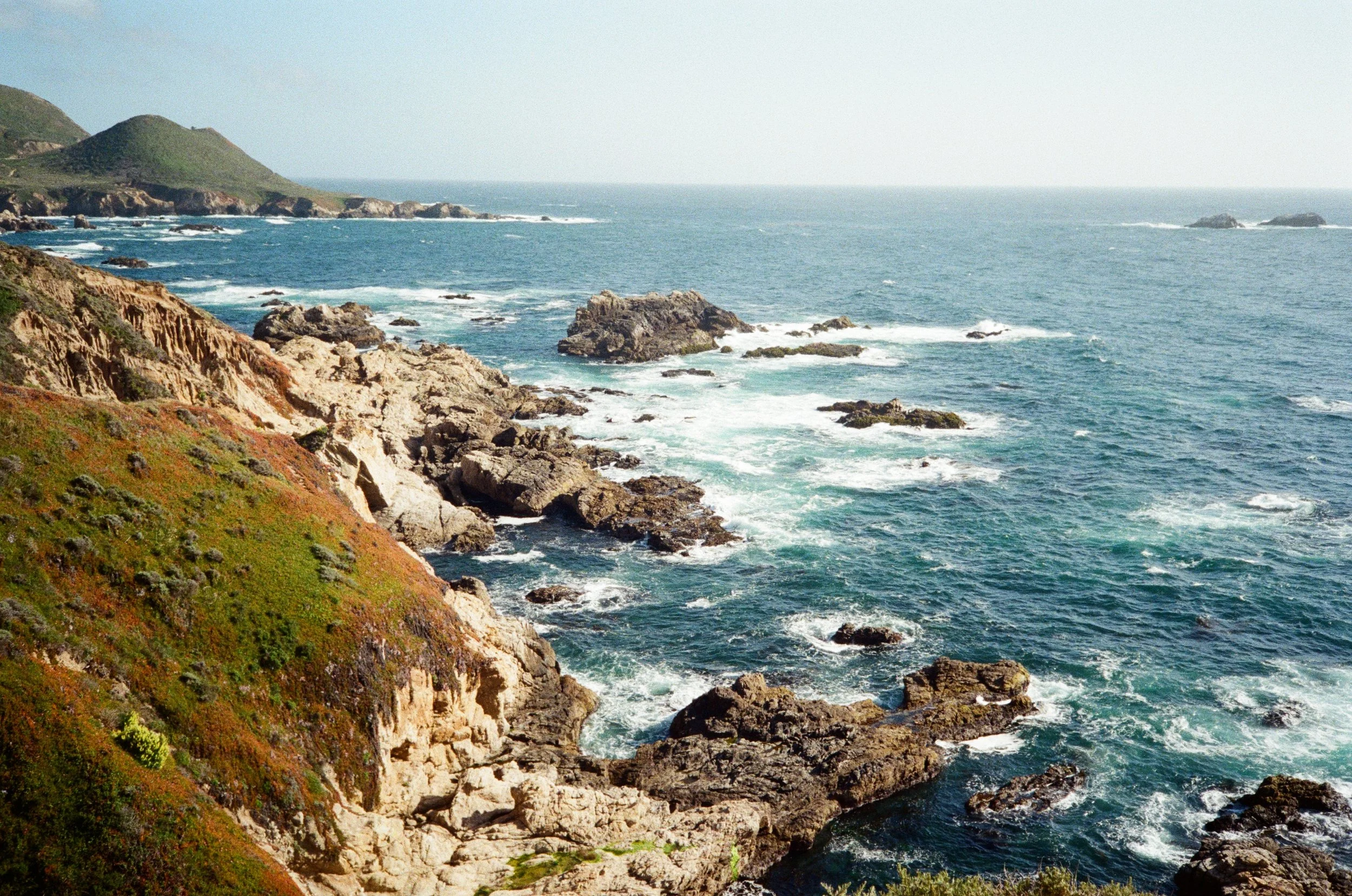 Film photograph