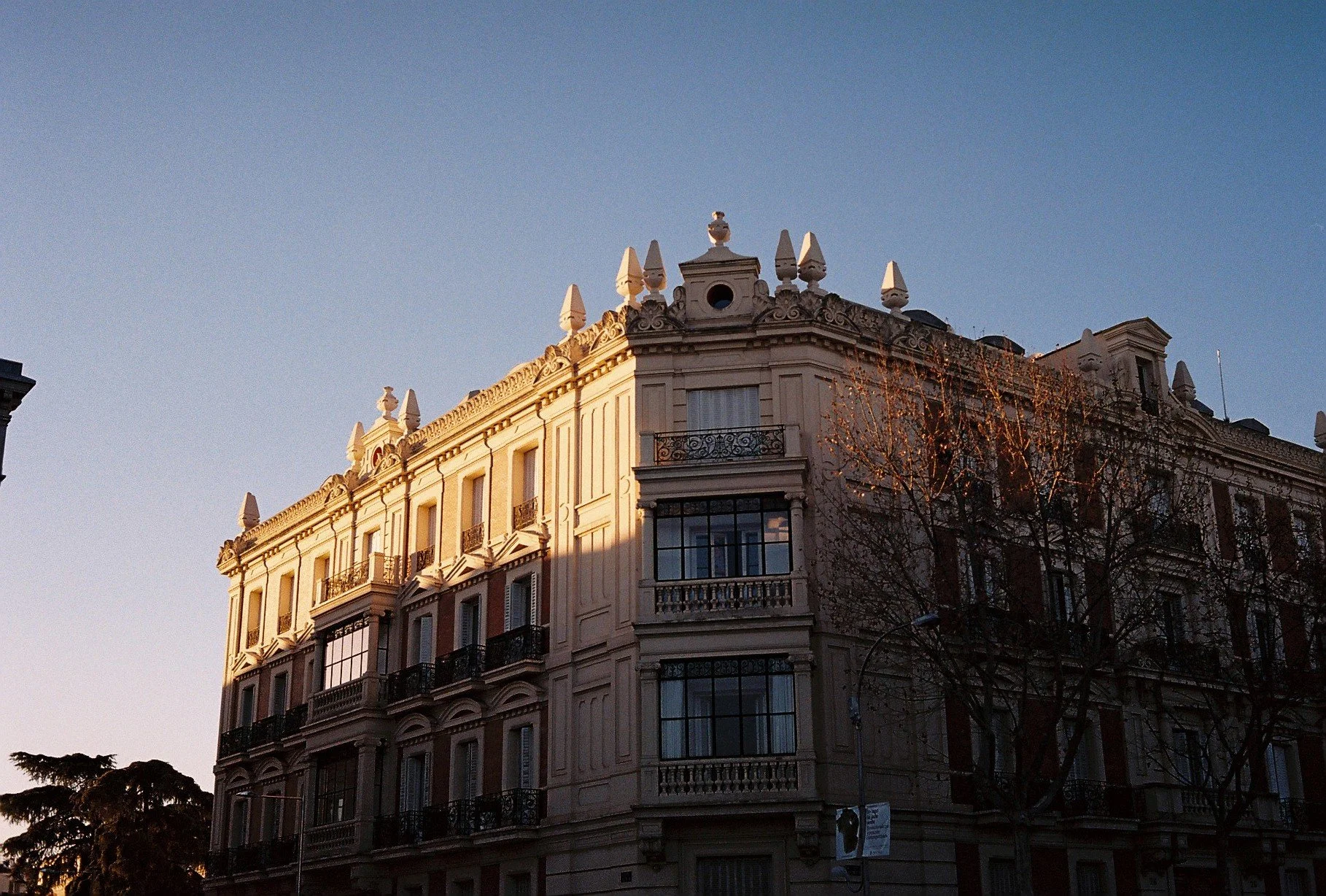 Film photograph